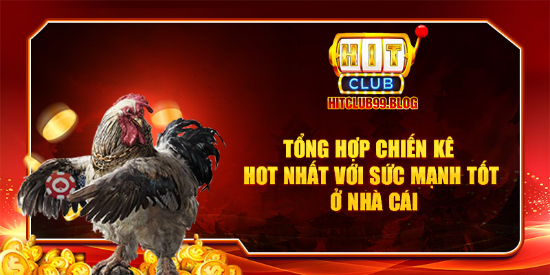 Tổng hợp chiến kê hot nhất với sức mạnh tốt ở nhà cái