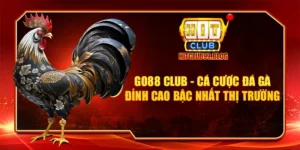 go88 club cá cược đá gà đỉnh cao bậc nhất thị trường